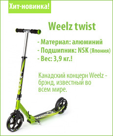 Самокат Weelz Twist 591038