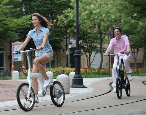 Электровелосипед Footloose Bike 250W (36V/ 8,2Ah)