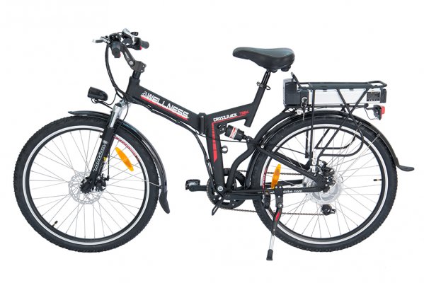Электровелосипед WELLNESS CROSS RACK (750W 36v/15Ah)