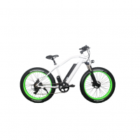 Электровелосипед El-sport bike TDE-08 500W Электровелосипед El-sport bike TDE-08 500W