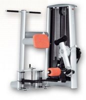 Standing Leg Curl Sygnum