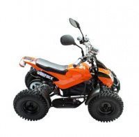 Электроквадроцикл VOLTRIX JAGUAR MINI 800 w (12Vх3 12Ач)