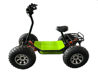 Электрический квадроскутер 4х4 Электрический квадроскутер 4х4