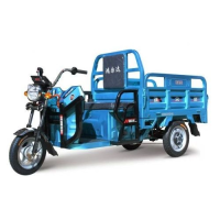 Грузовой электротрицикл eRace PY1200DZH-5