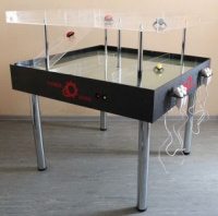 Аттракцион ТАРАКАНЬИ БЕГА