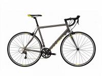 Marin Argenta Comp 2016