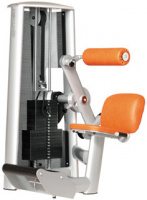 Lower Back Machine Sygnum