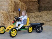 Веломобиль BERG Buddy John Deere BFR