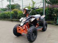 Детский электрический квадроцикл El-Sport Teenager mini 800W