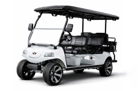 Гольфкар Rutrike Carrier 6