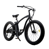 Электро фэтбайк круизер eRace EL 01 Электро фэтбайк круизер eRace EL 01