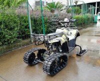 Зимний комплект квадроцикла greencamel (лыжи и гусеницы) 