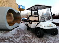 Гольфкар Конкордия ГК2+2 с площадкой Гольфкар Конкордия ГК2+2 с площадкой