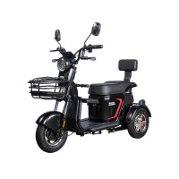 Электротрицикл WHITE SIBERIA SIBTRIKE L 2000W Электротрицикл WHITE SIBERIA SIBTRIKE L 2000W