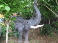 Фигура «Слон»