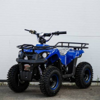 Электрический квадроцикл SHERHAN 300 Lite