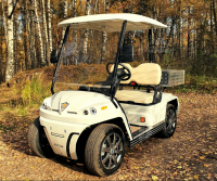Гольфкар КОНКОРДИЯ URBIS 2 с кузовом Гольфкар КОНКОРДИЯ URBIS 2 с кузовом