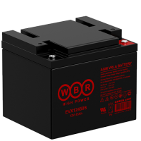 Тяговый аккумулятор EVX 12450S WBR