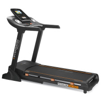 Беговая дорожка SVENSSON BODY LABS PHYSIOLINE TNX TOUCH