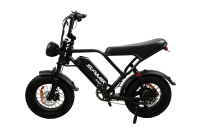 Электровелосипед SAMIK BK20 MINI