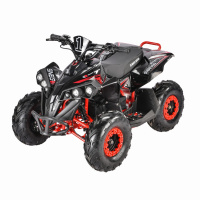 Квадроцикл WHITE SIBERIA SNEG R 1500W