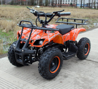 Квадроцикл GreenCamel Gobi K200 (36V 800W R6 Цепной привод)