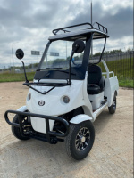 Гольфкар GreenCamel A2P (2+Plate 1800W R10 alum)