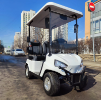 Гольфкар Green Motor G1 mini