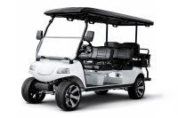 Гольфкар Rutrike Carrier 6