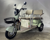 Трицикл GreenCamel Пони Z8 V2 (72V20Ah 1000W) дифференциал