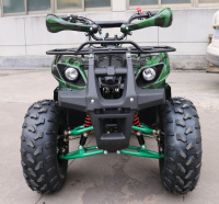 Квадроцикл GreenCamel Atakama T200 48V 800W