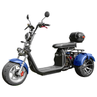 Электроскутер Ikingi X12 PRO Trike Электроскутер Ikingi X12 PRO Trike