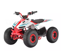 Электроквадроцикл MINI ATV 750W