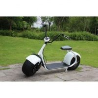 Электросамокат EL-Sport Citycoco 1500W 60V/20Ah