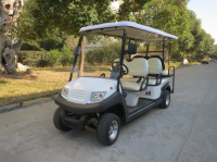 Гольфкар Voltus CLUB 4+2