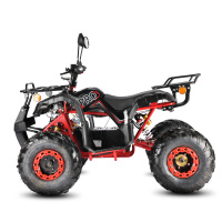 Электроквадроцикл White Siberia  PRO SNEG 3000W