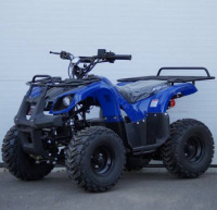 Электрический Квадроцикл SHERHAN 800 Lite