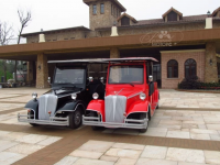 ГОЛЬФКАР Voltus CLASSIC CAR CC6+2А