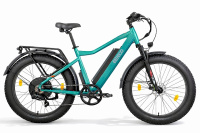 Электровелосипед Eltreco BigCat Next