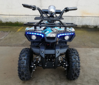 Электроквадроцикл Гоби K32 (Gobi K32) (36V 1000W R6 Цепь) ножной тормоз