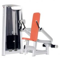 Triceps Machine vertical Sygnum