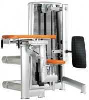 Glutaeus kneeling/lying Sygnum