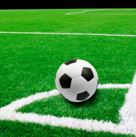 Искусственная трава SSG-U-6034160 Fifa (60мм, монофиламентная) Искусственная трава SSG-U-6034160 Fifa (60мм, монофиламентная)