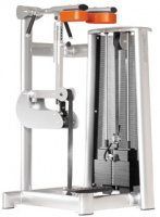 Standing calf Machine Sygnum