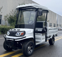 Гольфкар GreenCamel Сонора A2C 1500 (2+Cargo 1800W R10) пониженная