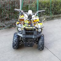 Электроквадроцикл Гоби K40 (Gobi K40) (36V 800W R6 Цепь) быстросъем