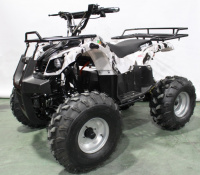 Электрический квадроцикл Атакама T220 (48V 1000W R8 Дифференциал)