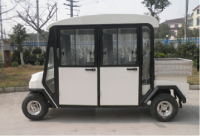 Гольфкар VOLTECO NEW TL 020