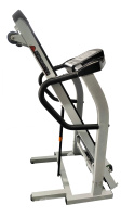 Беговая дорожка AMF 8241S + поручни D1