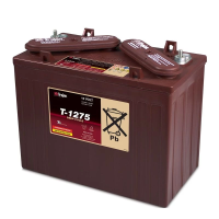 Аккумулятор тяговый Trojan T-1275 (12V /120Ah)